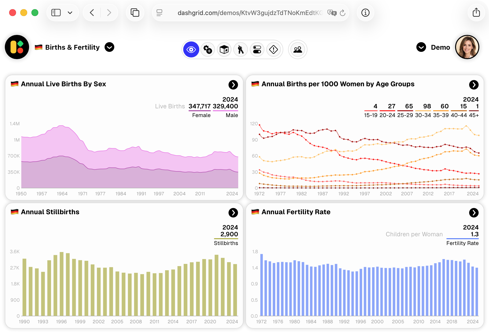 Dashgrid dashboard presenting Birth & Fertility Rates in Germany